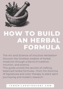How to Build an Herbal Formula – A Holistic Guide to Crafting Effective Energetic Remedies